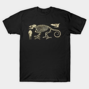 Chameleon Skeleton Anatomy Vintage Science T-Shirt